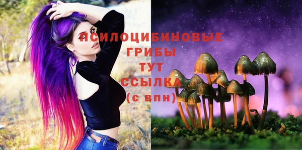 стафф Алексеевка