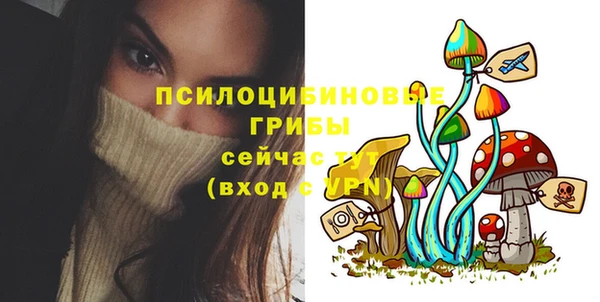 дмт Алексин