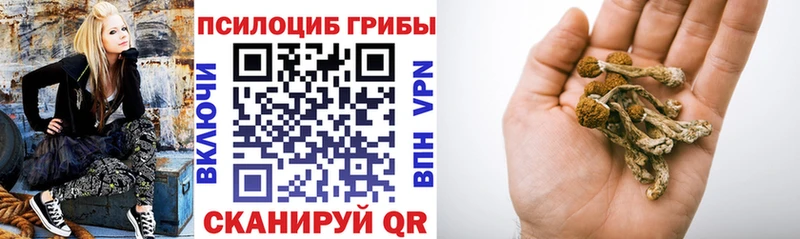 Псилоцибиновые грибы Psilocybe  Дедовск 