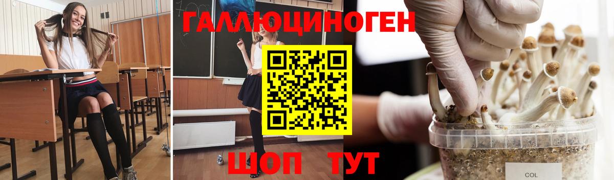 Галлюциногенные грибы GOLDEN TEACHER Дедовск